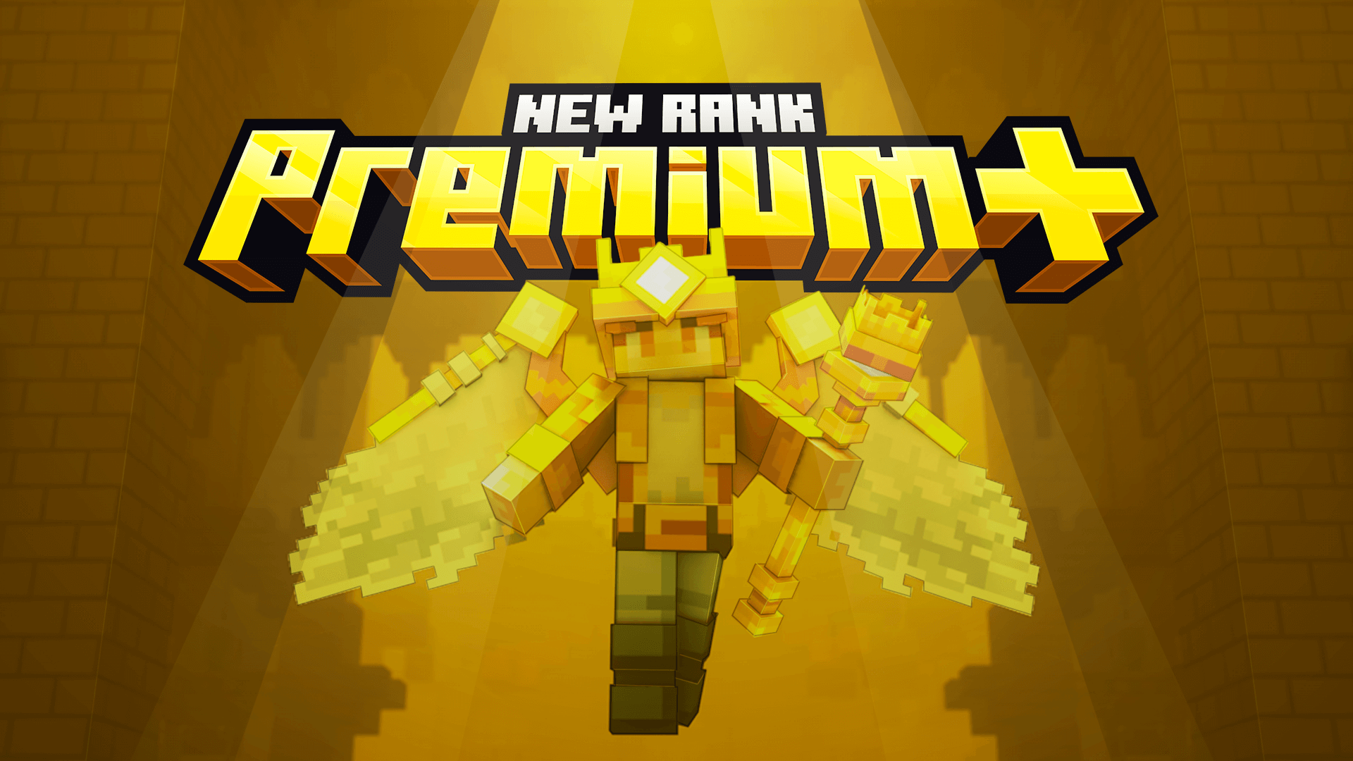 Le Premium+ débarque !